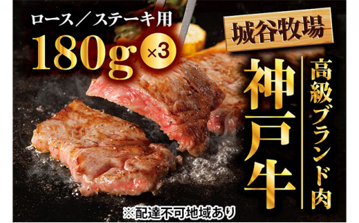 yɌ蒬zJq̐_ˋ [X Xe[L 540gi180g×3jY a _˃r[t o[xL[ BBQ Ⓚ