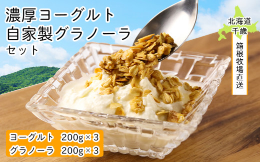 北海道直送 濃厚ヨーグルト3個 自家製グラノーラ3個セット 北海道千歳市 ふるさと納税 ふるさとチョイス