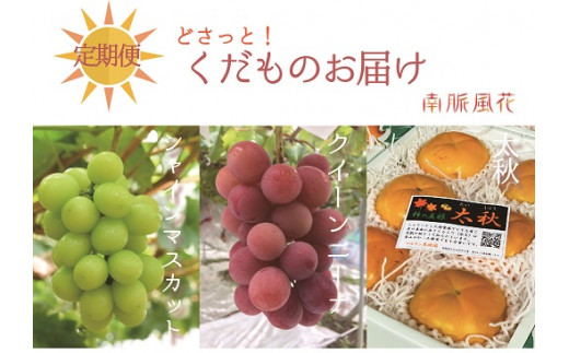 yRAvXszyʔNtzNRtbVt[cցiNC[j[iAVC}XJbgA`j@ALPAJ015