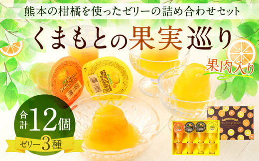 【熊本県水俣市】くまもとの果実巡り 12個入り ゼリー詰め合わせ みかん 甘夏 デコポン 柑橘