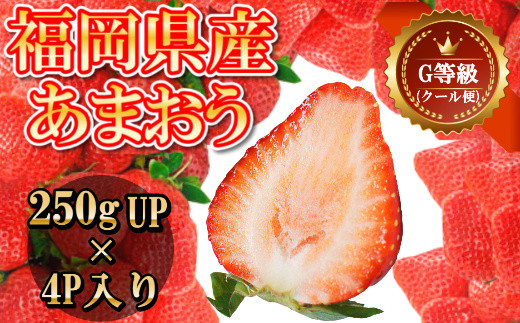 【福岡県篠栗町】MZ030 福岡県産 あまおう 250gup×4パック いちご イチゴ 苺 果物 フルーツ 2022年2月?3月にかけて順次発送予定