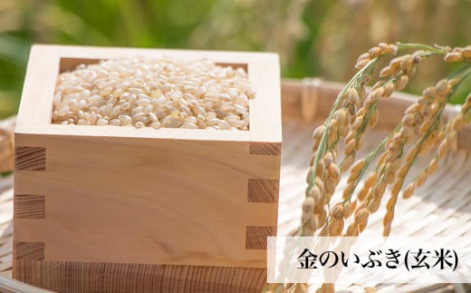 y{錧ΊsẑԂiāEjZbg Vty {錧 Ίs ܂ Ċ  퉷ۑ  ͂