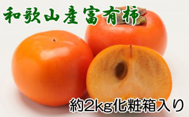 【和歌山県日高川町】［厳選・産直］和歌山産の富有柿約2kg（化粧箱入り）（2L〜4Lサイズ）