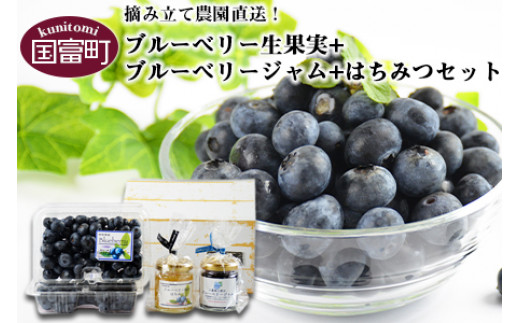 数量限定！予約受付！＜ブルーベリー生果実(250g×2パック)+