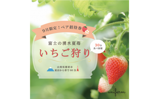 山梨県都留市 夏いちご いちご狩り 21年９月限定 ペア招待券 2名分 限定組 山梨県都留市 ふるさと納税 ふるさとチョイス