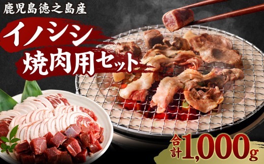 鹿児島徳之島 イノシシ 焼肉用 セット1kg ジビエ 鹿児島県天城町 ふるさと納税 ふるさとチョイス