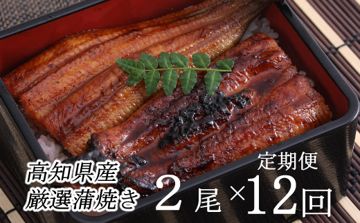 ヤマジュウ厳選！国産蒲焼き２尾【１２回定期便】＿うなぎ 鰻 ウナギ 2