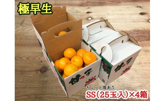 手さげ箱》ちょっと傷【極早生・有田みかん】SSサイズ25個入×4箱 - 有田川町有田川町 | ふるさと納税 [ふるさとチョイス]