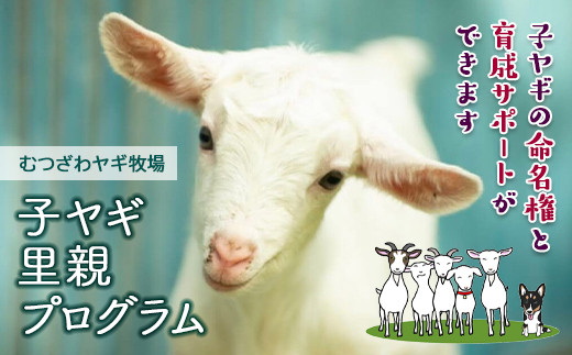 むつざわヤギ牧場 子ヤギ里親プログラム 大人2名 子供2名 F21g 106 千葉県睦沢町 ふるさとチョイス ふるさと納税サイト