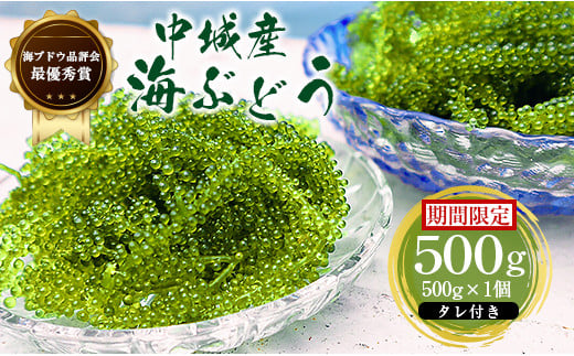 ＜2023年4月上旬～秋頃に出荷＞海ぶどう（500g×1個セット）タレ付き