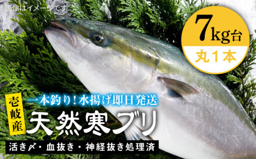 天然 ぶり 刺身 その他の魚介類の人気商品 通販 価格比較 価格 Com