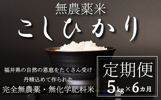 【新米 令和5年産／玄米】【定期便6回】無農薬米5㎏×6回（こしひかり）