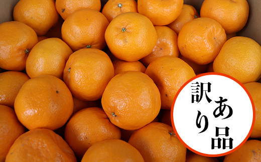 訳あり 規格外品 野菜ソムリエ石児さんの ポンカン 10kg 05 A0267 大分県杵築市 ふるさと納税 ふるさとチョイス