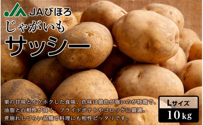 先行予約】北海道JAびほろじゃがいも「サッシー」Ｌサイズ10kg(2022年10月上旬発送予定) - 北海道美幌町｜ふるさとチョイス - ふるさと納税 サイト