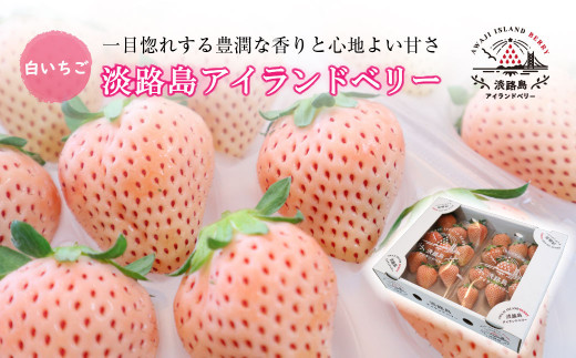 白 いちごの人気商品 通販 価格比較 価格 Com