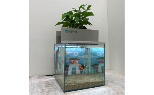 水槽セット 25cm せせらぎビオトープ アクアリウム 照明 熱帯魚 植物※2025年3月20日まで北海道への発送不可（低温で商品が枯れるため） -  広島県東広島市｜ふるさとチョイス - ふるさと納税サイト