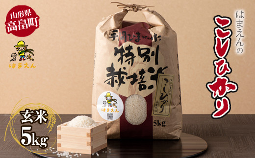 【山形県高畠町】はまえんの特別栽培米 コシヒカリ5kg（玄米）令和3年度産 F20B-326