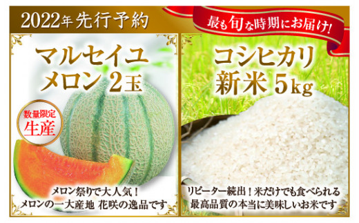 定期便 2回コース マルセイユメロン 2玉 坂井市産新米コシヒカリ 5kg 100セット追加 令和4年度 先行予約 B 38 福井県坂井市 ふるさと納税 ふるさとチョイス