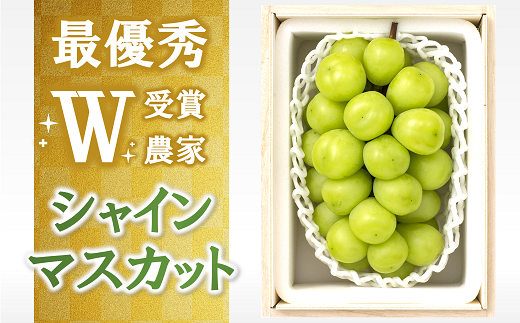 最優秀賞W受賞】 シャインマスカット 約700g (1房 特秀) 《令和5年9月