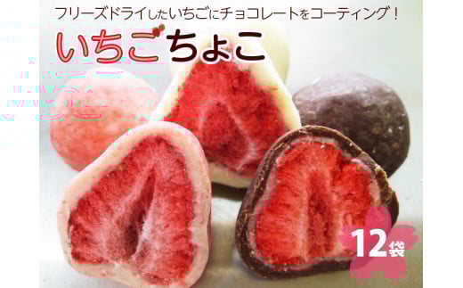 いちご 送料無料 チョコレートの人気商品 通販 価格比較 価格 Com