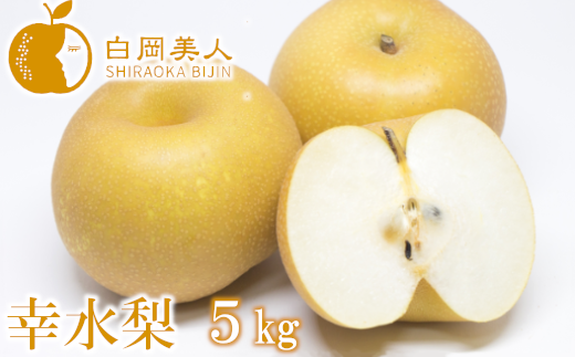 イオン銀行 ふるさと納税特設サイト Powered By ふるさとチョイス 埼玉県白岡市 白岡 下野田 斉藤さんちの美味しい梨 幸水5kg 0055
