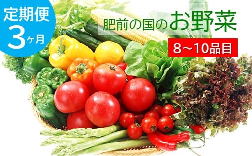 D-77 【３ヶ月お届け】肥前の国のお野菜定期便 - 佐賀県鹿島市 