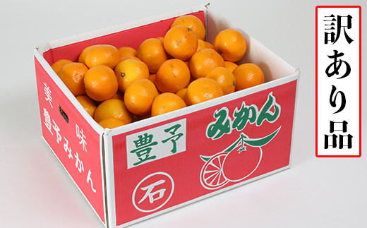 訳あり 規格外品 野菜ソムリエ石児さんの 温州みかん 約10kg 05 A00 大分県杵築市 ふるさと納税 ふるさとチョイス