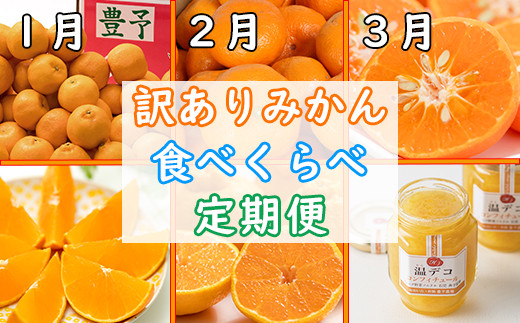 野菜ソムリエ石児さんの訳ありミカン食べくらべ定期便１種４キロ １月 ２月 ３月 05 Z0006 大分県杵築市 ふるさと納税 ふるさとチョイス