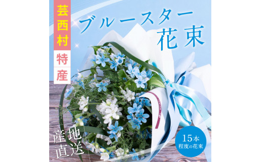 先行予約 芸西村特産ブルースター花束 約15本程度の花束 高知県芸西村 ふるさと納税 ふるさとチョイス