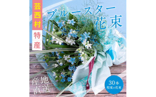 先行予約 芸西村特産ブルースター花束 約30本程度の花束 高知県芸西村 ふるさとチョイス ふるさと納税サイト