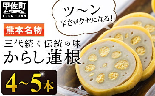 3代続く伝統の味】ピリッとうまか！熊本からし蓮根（4本～5本