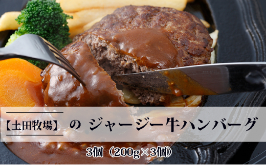 【秋田県にかほ市】ジャージー牛使用!ハンバーグ 3個(200g×3個)