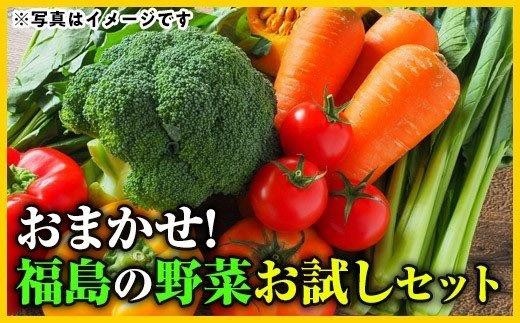 No 1000 大人気 旬の新鮮お野菜 レギュラーセット 詰め合わせ 福島県福島市 ふるさと納税 ふるさとチョイス