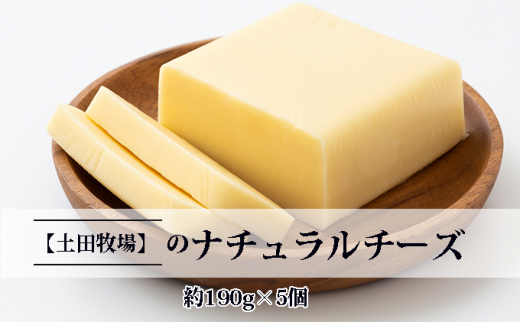 【秋田県にかほ市】栄養豊富なとろけるチーズ チーズママ 約190g×5個 [��5685-1629]