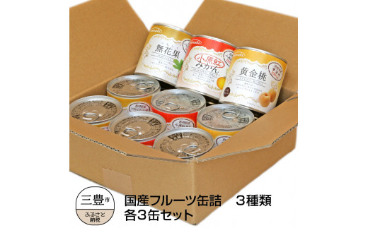 【香川県三豊市】M08-0002_国産フルーツ缶詰　3種類各3缶セット