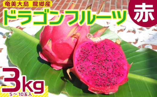 奄美大島 龍郷産ドラゴンフルーツ赤 ３kg ５ １０玉入り 鹿児島県龍郷町 ふるさと納税 ふるさとチョイス