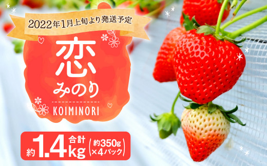 百花園 恋みのり いちご 苺 1 4kg 果物 野菜 熊本県合志市 ふるさと納税 ふるさとチョイス