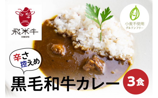 飛米牛グルテンフリーカレー 3食 180g 3パック レトルト 小麦粉不使用 岐阜県飛騨市 ふるさと納税 ふるさとチョイス