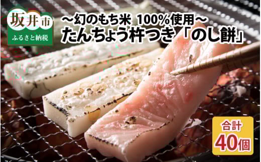 y䌧sz񂿂傤nû݁v v40 ʍ͔|ĎgpI `̂100gp` y `` YEۑsgp ĂĂ̂܂܂ł    