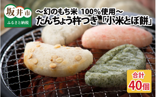 y䌧sz񂿂傤nuĂƂږ݁v v40 ʍ͔|ĎgpI `̂100gp` y `` YEۑsgp ĂĂ̂܂܂ł   