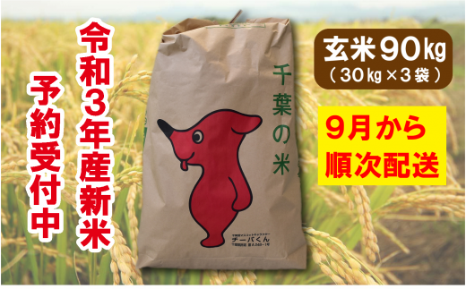 E01 A05 長生産ふさこがね 白米16kg 令和3年産新米 21年11月配送分 千葉県長生村 ふるさと納税 ふるさとチョイス