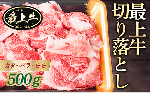 010 020 最上牛切り落とし カタ バラ モモ500ｇ 山形県最上町 ふるさと納税 ふるさとチョイス