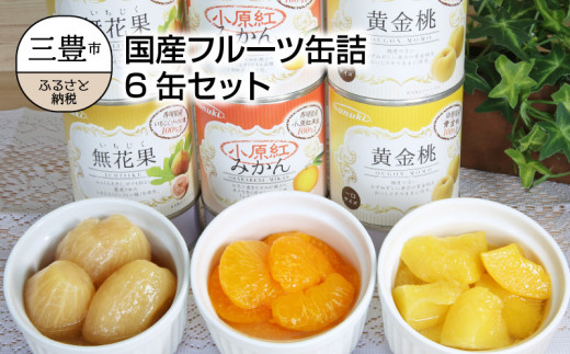【香川県三豊市】M08-0011_国産フルーツ缶詰　6缶セット