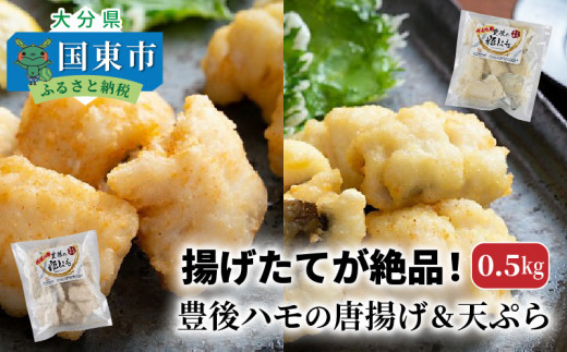 揚げたてが絶品 豊後ハモの唐揚げ 天ぷら 0 5kg 大分県国東市 ふるさと納税 ふるさとチョイス