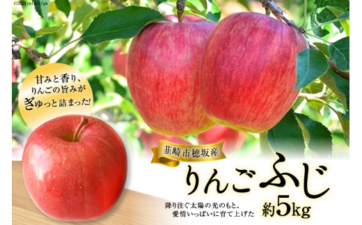 先行受付】 穂坂産 りんご「ふじ」約5kg《2024年10月下旬～順次出荷