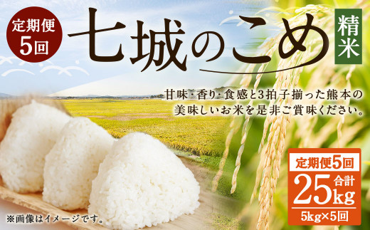 熊本県菊池産 ヒノヒカリ 5分づき米 5kg×2袋 もち麦入り雑穀米 200g×2