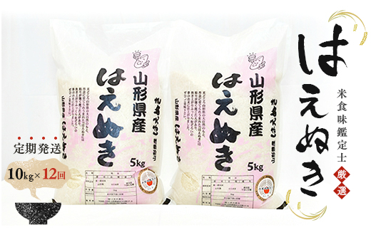 定期発送】米食味鑑定士厳選 新庄産「はえぬき」（精米）各10kg【全12