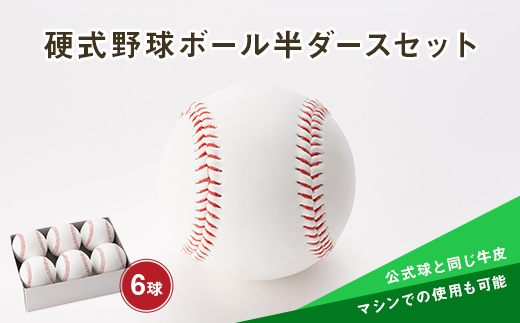 硬式野球ボール半ダースセット ふるさと納税 山形県 新庄市 F3s 0303 山形県新庄市 ふるさとチョイス ふるさと納税サイト