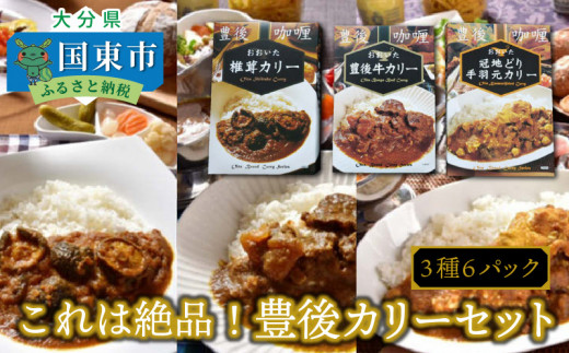 9267 これは絶品 豊後カリーセット ３種６パック 通 大分県国東市 ふるさと納税 ふるさとチョイス