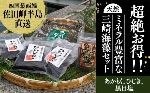 天然アカモクセット アカモク500g 乾燥ひじき60g 黒目塩1袋 愛媛県伊方町 ふるさと納税 ふるさとチョイス